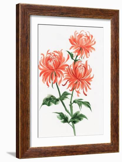 Orange Chrysanthemum-Surovtseva-Framed Premium Giclee Print