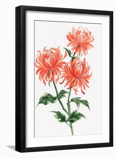 Orange Chrysanthemum-Surovtseva-Framed Premium Giclee Print