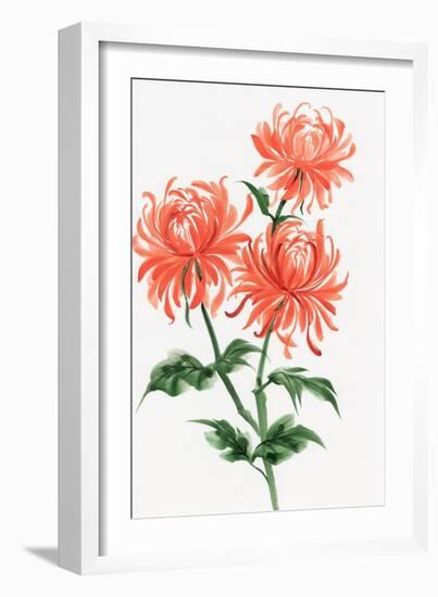 Orange Chrysanthemum-Surovtseva-Framed Premium Giclee Print