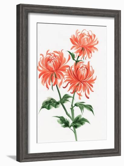 Orange Chrysanthemum-Surovtseva-Framed Art Print