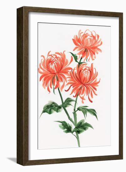 Orange Chrysanthemum-Surovtseva-Framed Art Print