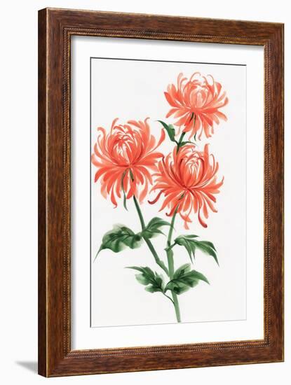 Orange Chrysanthemum-Surovtseva-Framed Art Print