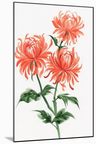 Orange Chrysanthemum-Surovtseva-Mounted Art Print