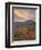 Orange Clouds at Sunset over Orange and Red Maples in the Fall, Uinta National Forest, Utah, USA-James Hager-Framed Photographic Print