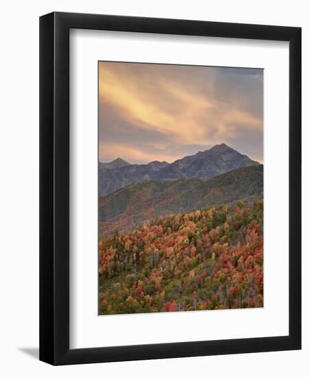 Orange Clouds at Sunset over Orange and Red Maples in the Fall, Uinta National Forest, Utah, USA-James Hager-Framed Photographic Print