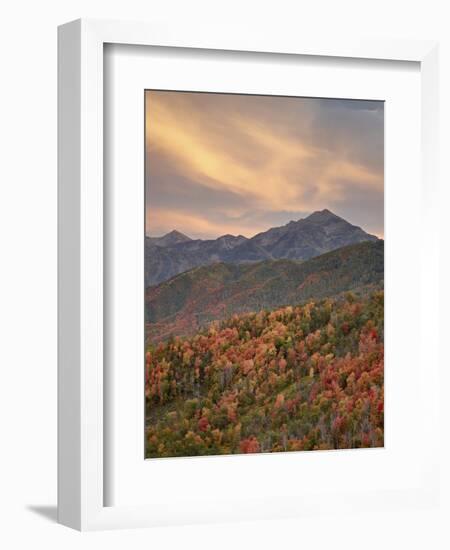 Orange Clouds at Sunset over Orange and Red Maples in the Fall, Uinta National Forest, Utah, USA-James Hager-Framed Photographic Print