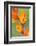 orange colored dichromanthus orchid in flower, mexico-claudio contreras-Framed Photographic Print