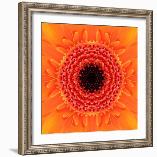 Orange Concentric Flower Center: Mandala Kaleidoscopic Design-tr3gi-Framed Art Print