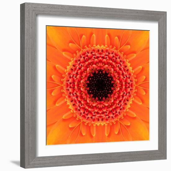 Orange Concentric Flower Center: Mandala Kaleidoscopic Design-tr3gi-Framed Art Print