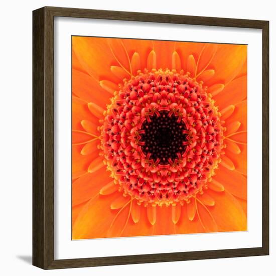 Orange Concentric Flower Center: Mandala Kaleidoscopic Design-tr3gi-Framed Art Print