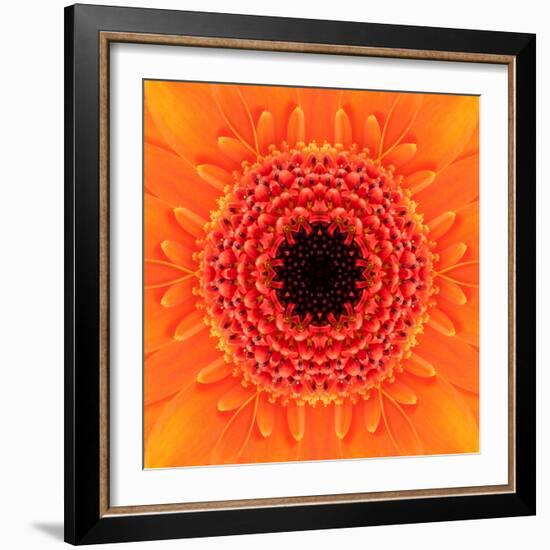 Orange Concentric Flower Center: Mandala Kaleidoscopic Design-tr3gi-Framed Art Print