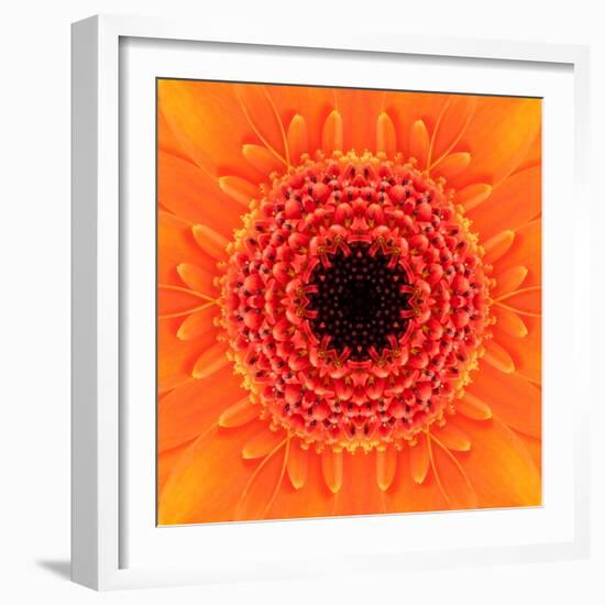 Orange Concentric Flower Center: Mandala Kaleidoscopic Design-tr3gi-Framed Art Print