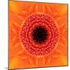 Orange Concentric Flower Center: Mandala Kaleidoscopic Design-tr3gi-Mounted Art Print