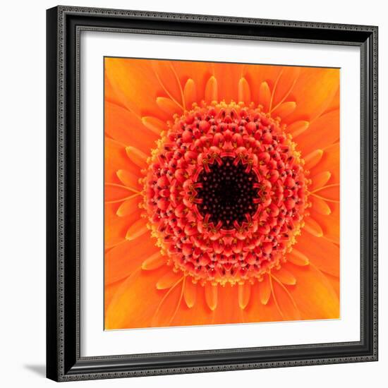 Orange Concentric Flower Center: Mandala Kaleidoscopic Design-tr3gi-Framed Art Print