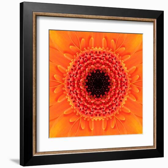 Orange Concentric Flower Center: Mandala Kaleidoscopic Design-tr3gi-Framed Art Print