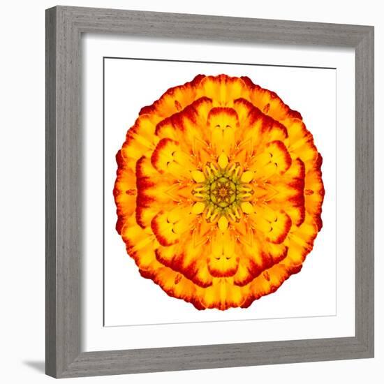 Orange Concentric Marigold Mandala Flower-tr3gi-Framed Art Print