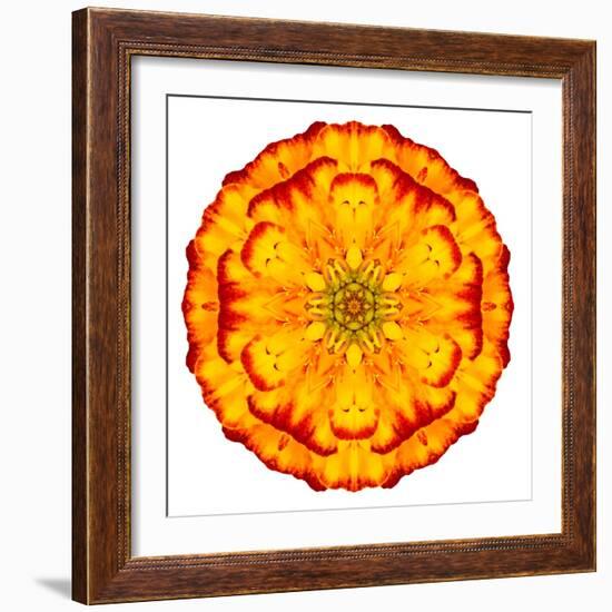 Orange Concentric Marigold Mandala Flower-tr3gi-Framed Art Print