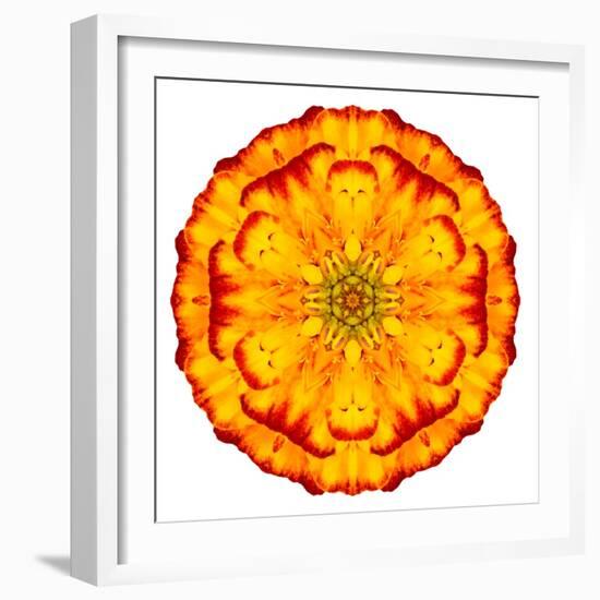 Orange Concentric Marigold Mandala Flower-tr3gi-Framed Art Print