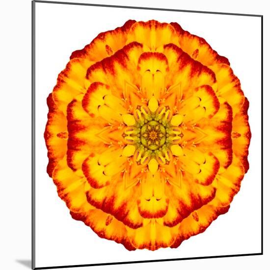 Orange Concentric Marigold Mandala Flower-tr3gi-Mounted Art Print