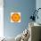 Orange Concentric Marigold Mandala Flower-tr3gi-Premium Giclee Print displayed on a wall