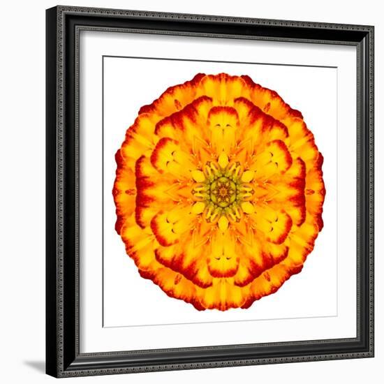 Orange Concentric Marigold Mandala Flower-tr3gi-Framed Premium Giclee Print