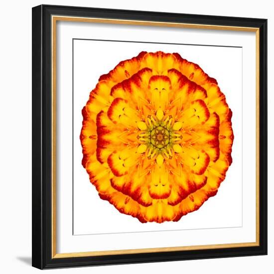 Orange Concentric Marigold Mandala Flower-tr3gi-Framed Premium Giclee Print