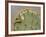 Orange-Crowned Warbler, Texas, USA-Larry Ditto-Framed Photographic Print