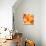 Orange Crystal Vector Abstract Pattern-art_of_sun-Mounted Art Print displayed on a wall