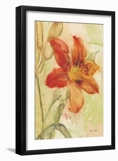 Orange Day Lily-Cheri Blum-Framed Art Print
