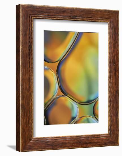Orange Drops-Cora Niele-Framed Photographic Print
