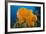 Orange Elephant Ear Sponge (Agelas Clathrodes) Santa Lucia-Franco Banfi-Framed Photographic Print