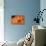 Orange Flame-Dana Styber-Framed Premier Image Canvas displayed on a wall
