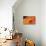 Orange Flame-Dana Styber-Photographic Print displayed on a wall