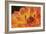 Orange Flame-Dana Styber-Framed Photographic Print