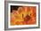 Orange Flame-Dana Styber-Framed Photographic Print