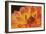 Orange Flame-Dana Styber-Framed Photographic Print