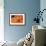 Orange Flame-Dana Styber-Framed Photographic Print displayed on a wall