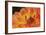 Orange Flame-Dana Styber-Framed Photographic Print