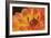 Orange Flame-Dana Styber-Framed Photographic Print