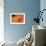 Orange Flame-Dana Styber-Framed Photographic Print displayed on a wall