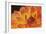 Orange Flame-Dana Styber-Framed Photographic Print