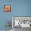 Orange Flip Flops-Paul Brent-Framed Stretched Canvas displayed on a wall