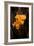 Orange Flower I-George Johnson-Framed Photographic Print