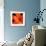 Orange Flower on Black 02-Tom Quartermaine-Framed Giclee Print displayed on a wall