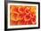 Orange Funnel Dahlia-Dana Styber-Framed Photographic Print