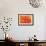 Orange Funnel Dahlia-Dana Styber-Framed Photographic Print displayed on a wall
