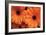 Orange Gerbera Daisies-Erin Berzel-Framed Photographic Print