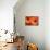 Orange Gerbera Daisies-Erin Berzel-Mounted Photographic Print displayed on a wall