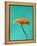 Orange Gerbera Daisy-Clive Nichols-Framed Premier Image Canvas