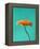 Orange Gerbera Daisy-Clive Nichols-Framed Premier Image Canvas